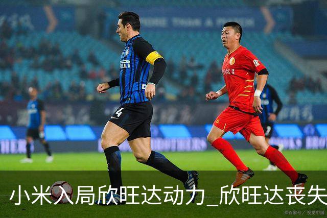 小米入局欣旺达动力 欣旺达丧失控制权