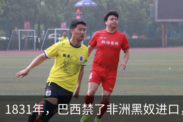 1831年,巴西禁了非洲黑奴进口,一庄园主脑洞大开,挑了个最强壮的黑人帕塔·塞卡,配齐100个老婆,好吃好喝伺候着,就一个任务:拼命生娃